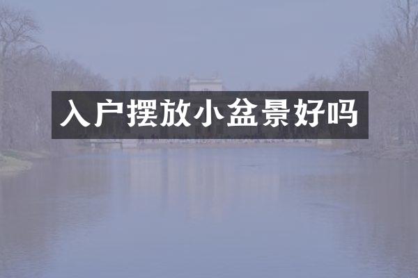 入户摆放小盆景好吗