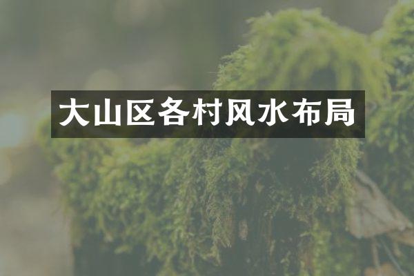 大山区各村风水布局