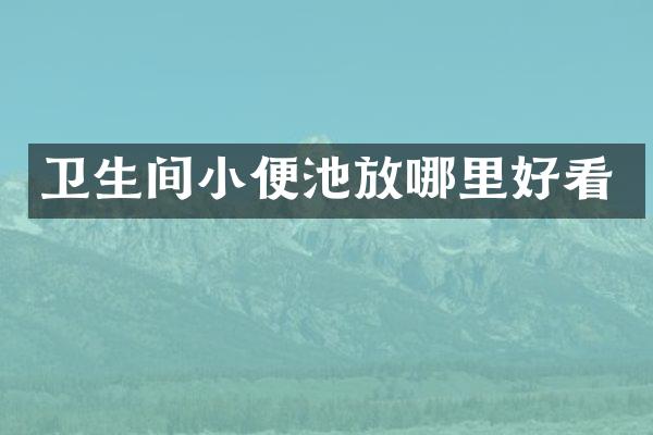 卫生间小便池放哪里好看