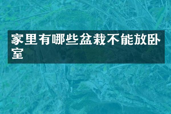 家里有哪些盆栽不能放卧室