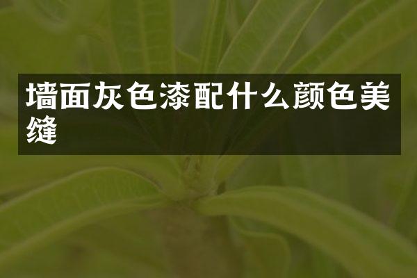 墙面灰色漆配什么颜色美缝