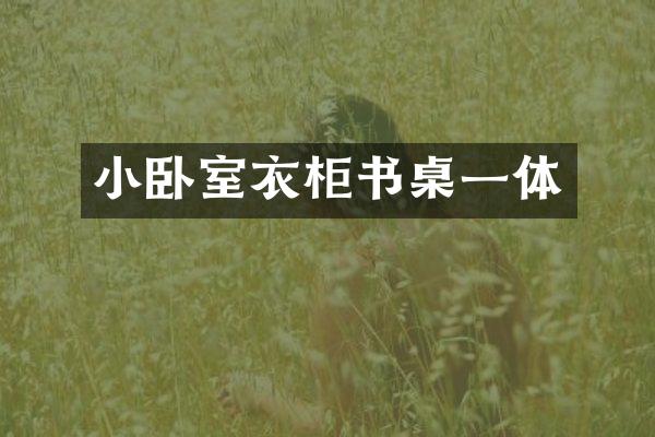 小卧室衣柜书桌一体
