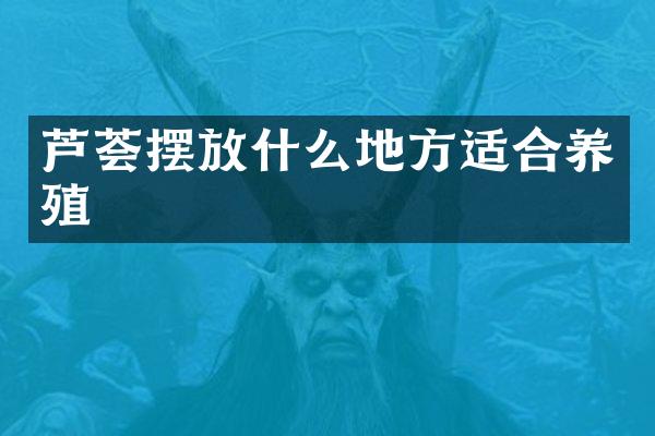 芦荟摆放什么地方适合养殖