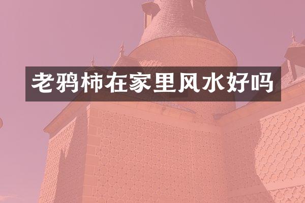 老鸦柿在家里风水好吗