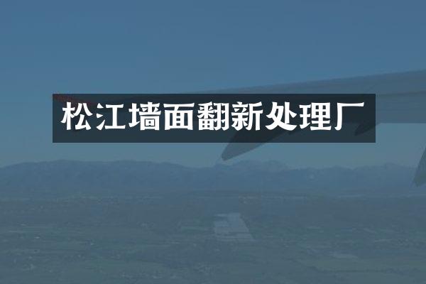 松江墙面翻新处理厂