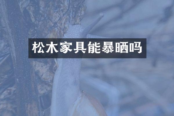 松木家具能暴晒吗