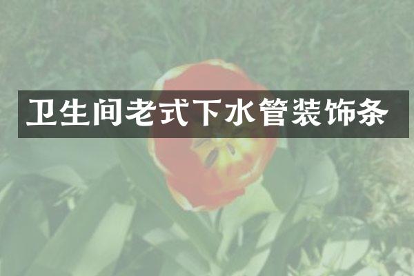 卫生间老式下水管装饰条