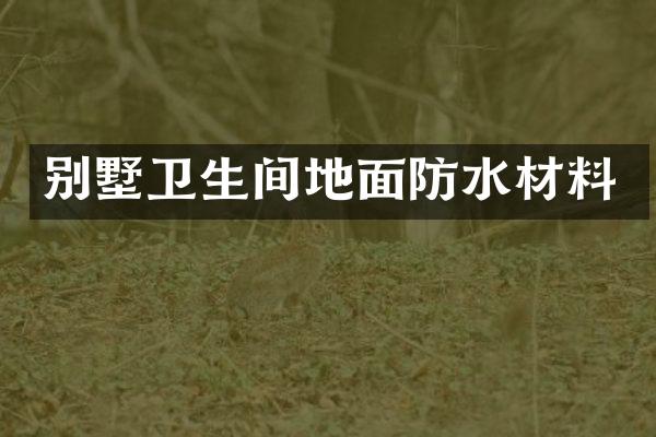 别墅卫生间地面防水材料
