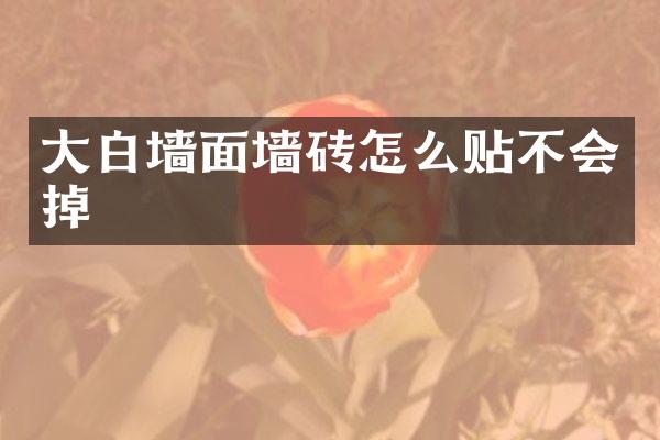 大白墙面墙砖怎么贴不会掉