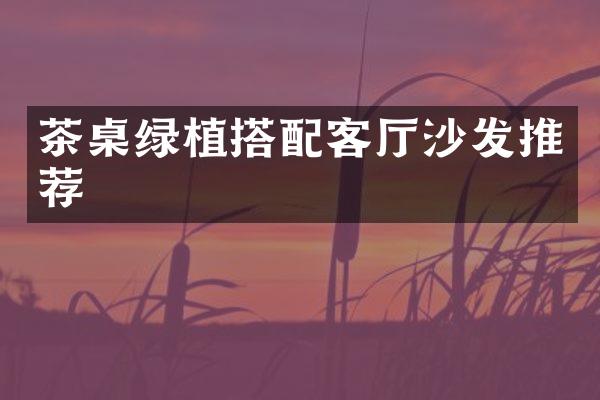 茶桌绿植搭配客厅沙发推荐