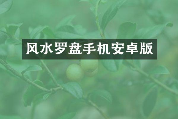 风水罗盘手机安卓版