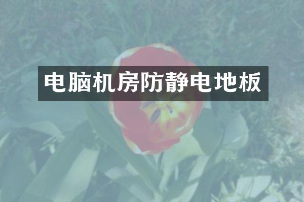 电脑机房防静电地板