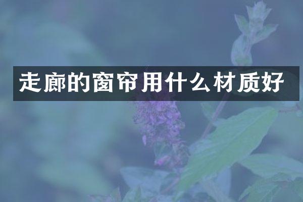 走廊的窗帘用什么材质好