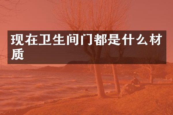 现在卫生间门都是什么材质