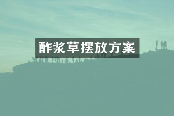 酢浆草摆放方案