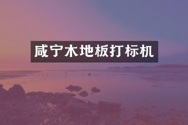 咸宁木地板打标机