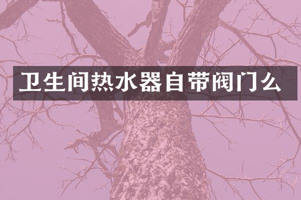 卫生间热水器自带阀门么