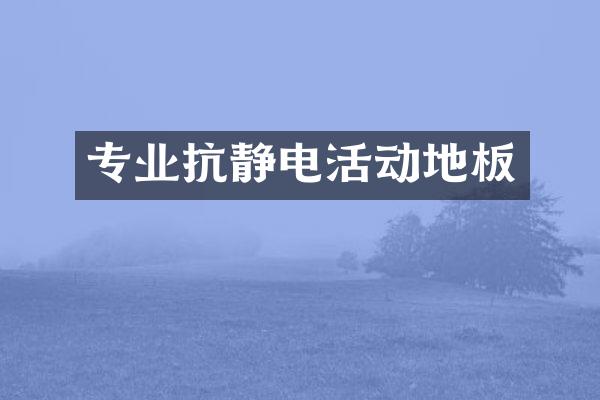 专业抗静电活动地板