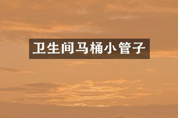 卫生间马桶小管子