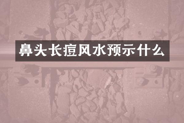 鼻头长痘风水预示什么