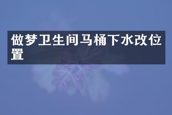 做梦卫生间马桶下水改位置
