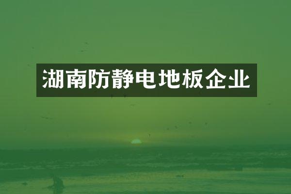 湖南防静电地板企业