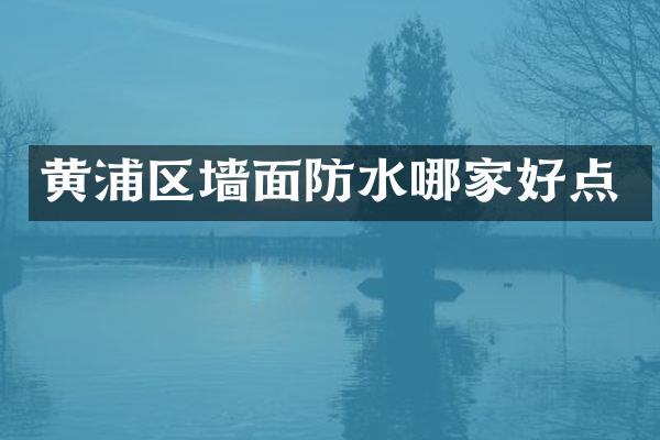 黄浦区墙面防水哪家好点