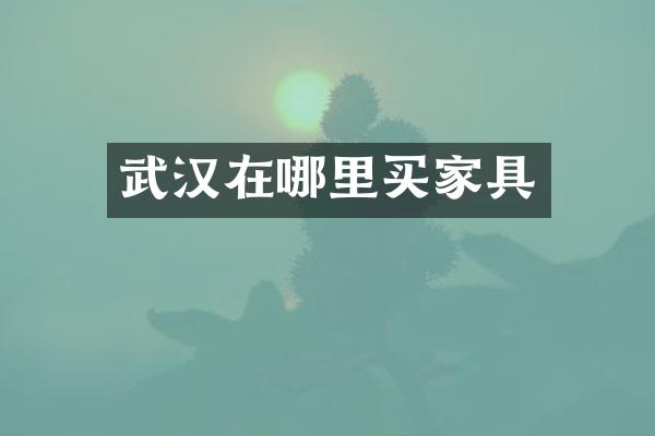 武汉在哪里买家具