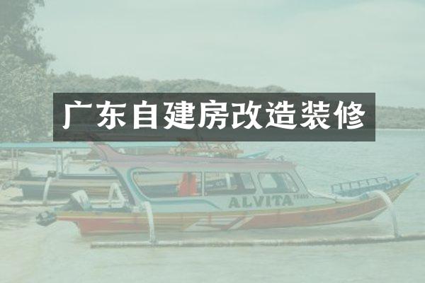 广东自建房改造装修