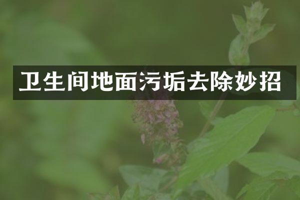 卫生间地面污垢去除妙招