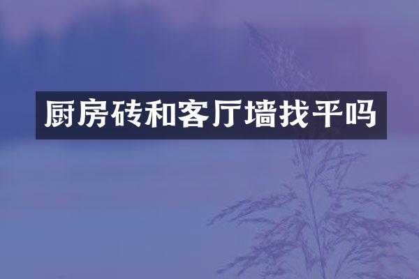 厨房砖和客厅墙找平吗
