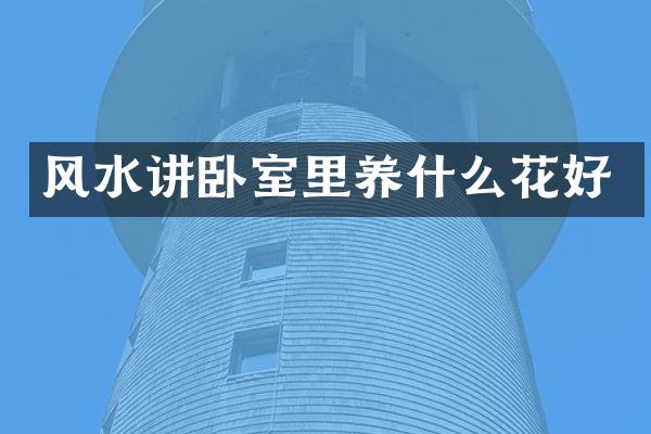 风水讲卧室里养什么花好