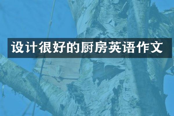 设计很好的厨房英语作文
