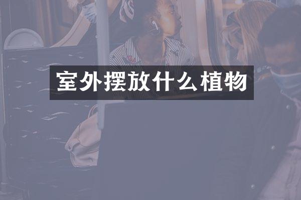 室外摆放什么植物