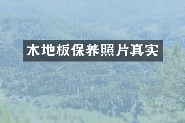 木地板保养照片真实