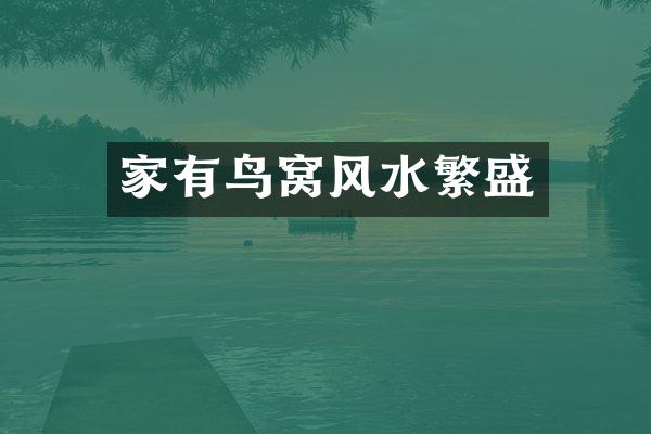 家有鸟窝风水繁盛