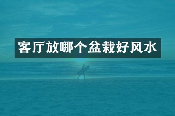 客厅放哪个盆栽好风水