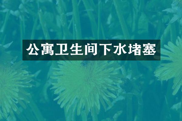 公寓卫生间下水堵塞