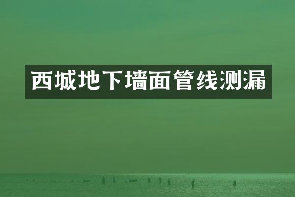 西城地下墙面管线测漏