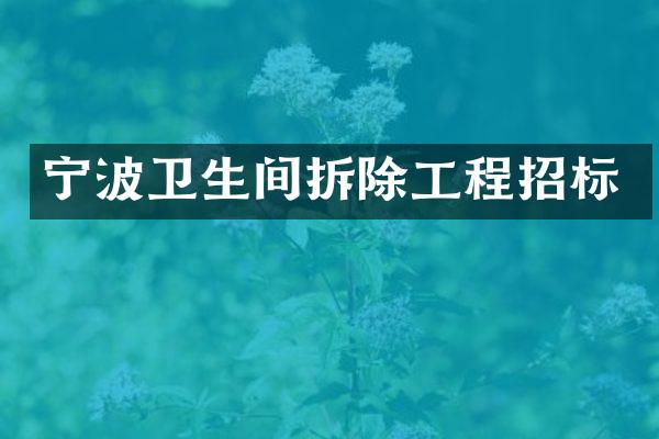宁波卫生间拆除工程招标