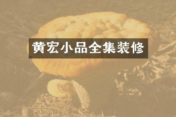 黄宏小品全集装修