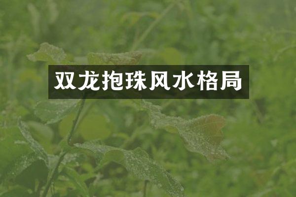双龙抱珠风水格局
