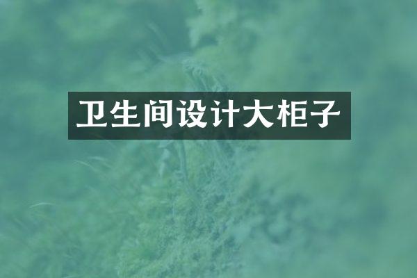 卫生间设计大柜子