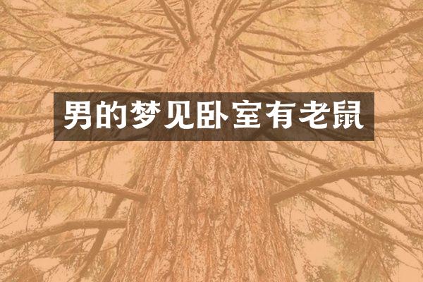 男的梦见卧室有老鼠