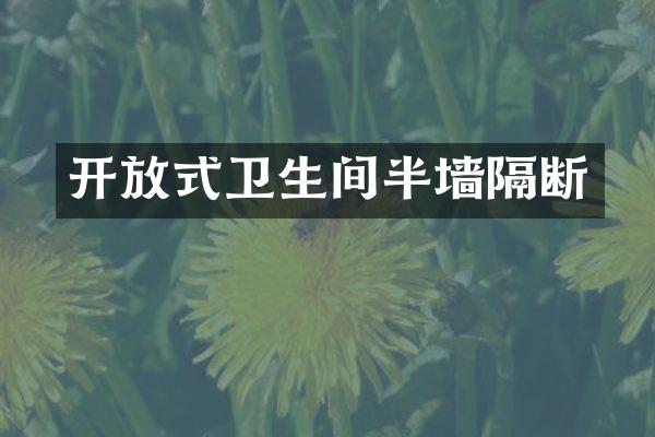 开放式卫生间半墙隔断