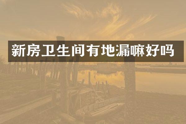 新房卫生间有地漏嘛好吗