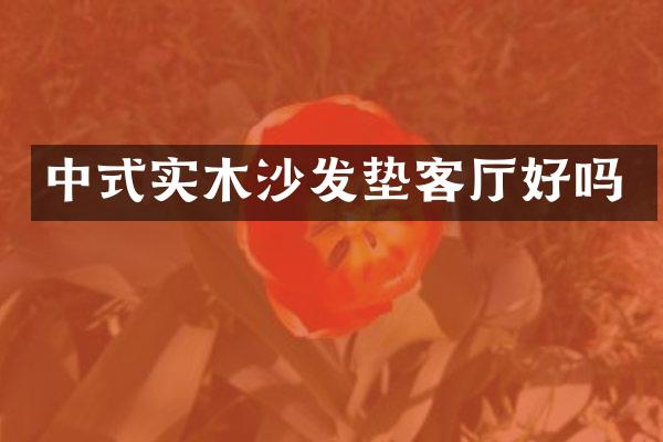 中式实木沙发垫客厅好吗