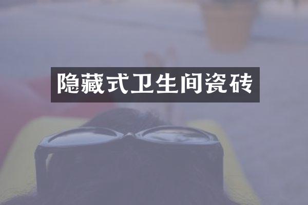 隐藏式卫生间瓷砖