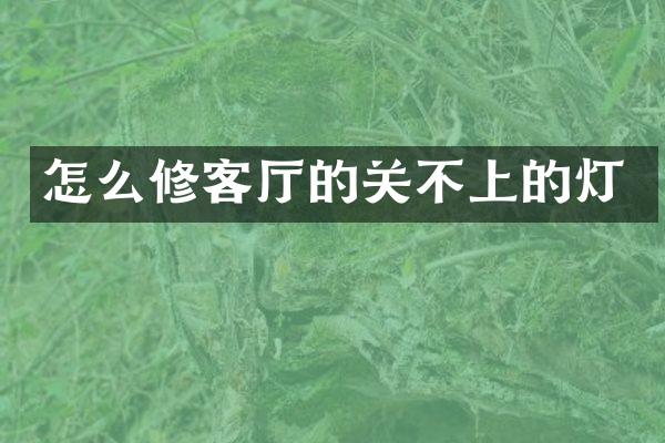怎么修客厅的关不上的灯
