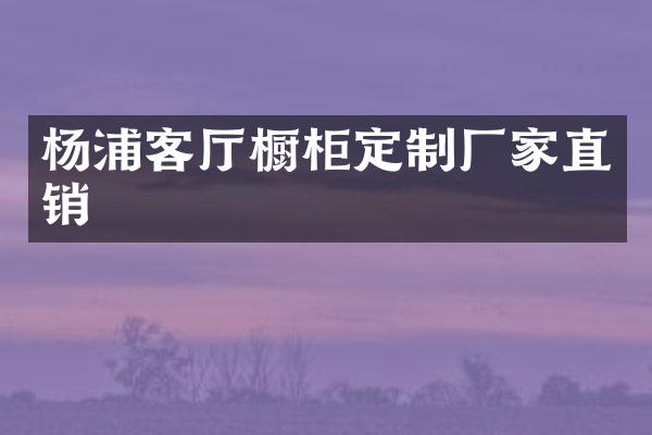 杨浦客厅橱柜定制厂家直销